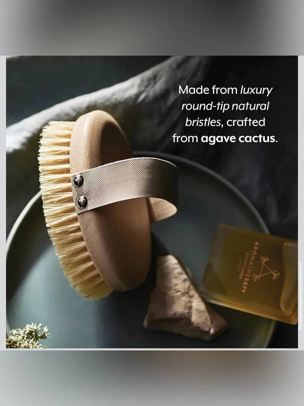 NWT Wooden Dry Brush - Cactus Bristles